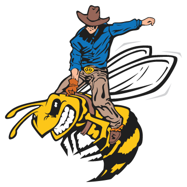 Texas Angry Bee Honey - Vyvjala Apiary - Flatonia, Texas