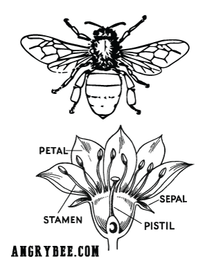 Angry Bee Coloring Page 3