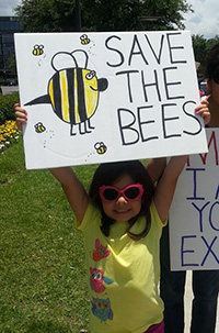 Help Save the Bees